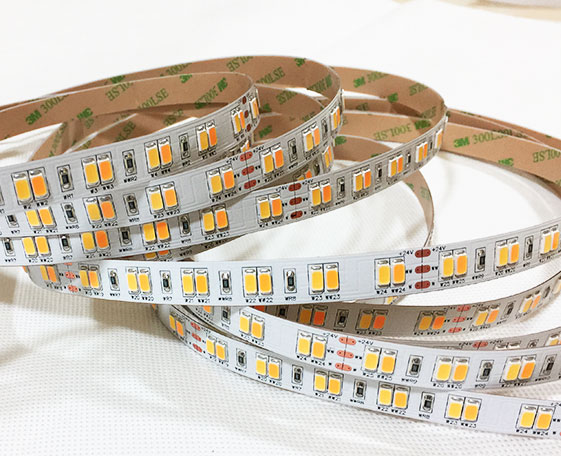 5730 CCT adjustable LED Strip Light