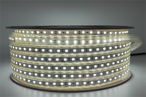 DC36V48V110V220V LED strip