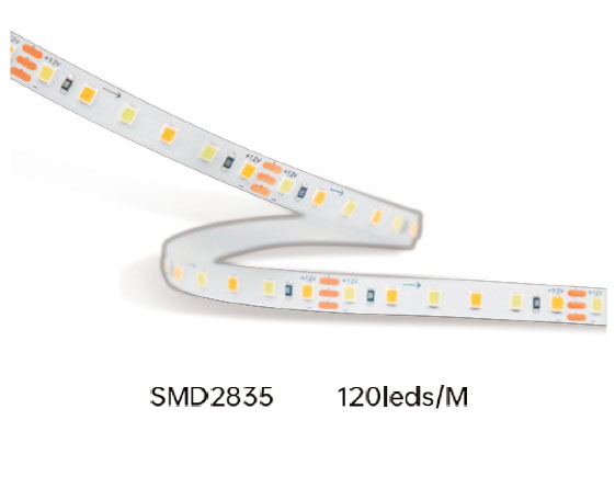 SMD2835-120D-8MM-24V CCT adjustable LED Strip