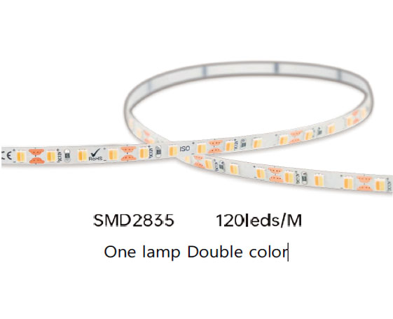 SMD2835 (One Lamp Two Color) Flex LED Strip